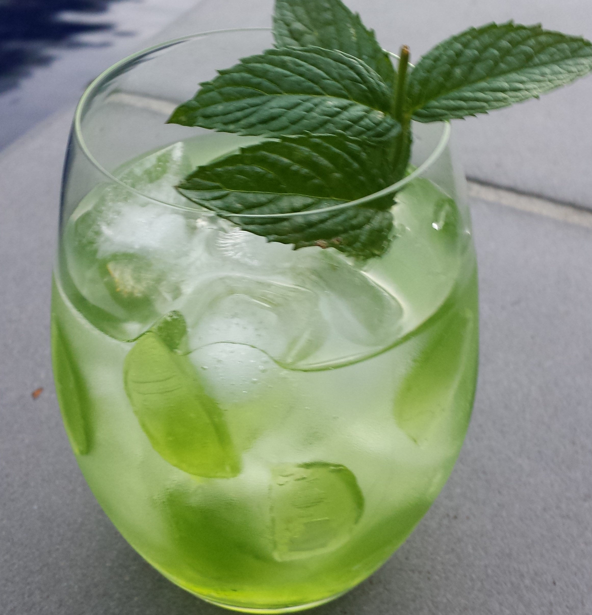 FINO G&T Recipe
